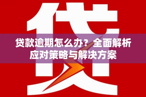 郁南贷款逾期怎么办？全面解析应对策略与解决方案