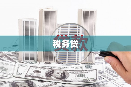 郁南税务贷
