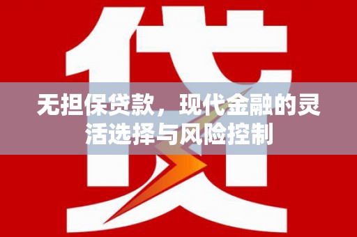 郁南无担保贷款，现代金融的灵活选择与风险控制
