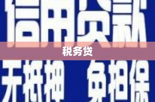 郁南税务贷