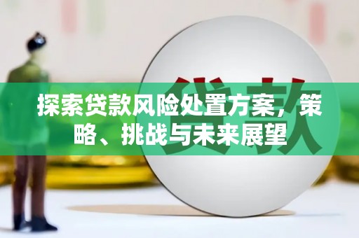 郁南探索贷款风险处置方案，策略、挑战与未来展望