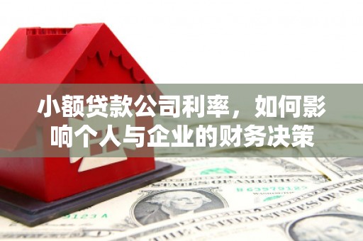 郁南小额贷款公司利率，如何影响个人与企业的财务决策