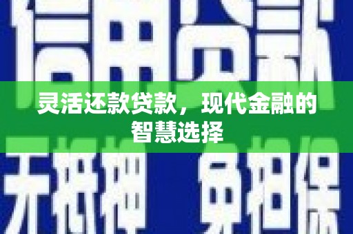 郁南灵活还款贷款，现代金融的智慧选择