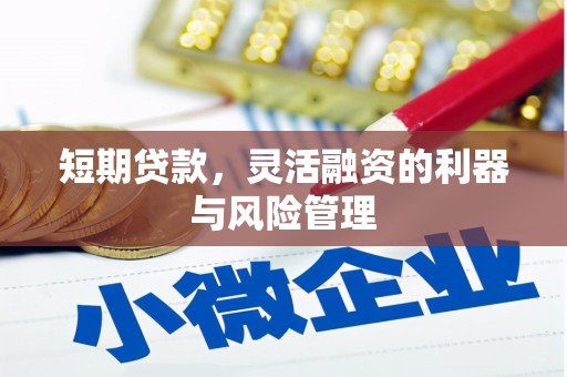 郁南短期贷款，灵活融资的利器与风险管理