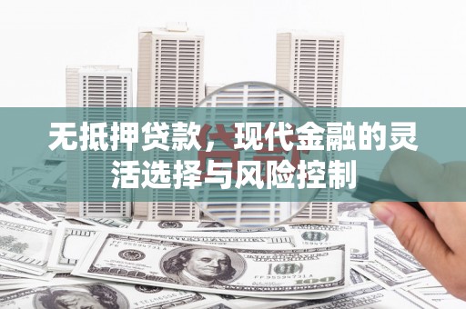 郁南无抵押贷款，现代金融的灵活选择与风险控制