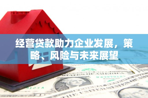 郁南经营贷款助力企业发展，策略、风险与未来展望