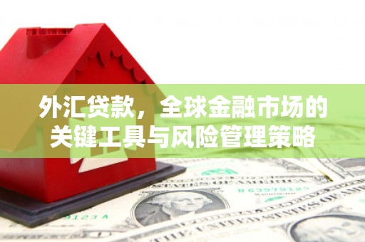 郁南外汇贷款，全球金融市场的关键工具与风险管理策略