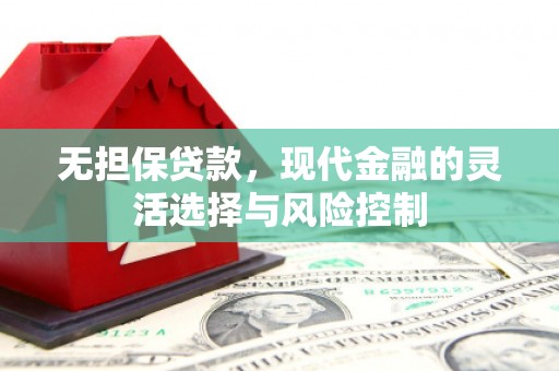 郁南无担保贷款，现代金融的灵活选择与风险控制