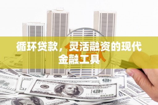 郁南循环贷款，灵活融资的现代金融工具