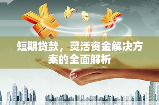 郁南短期贷款，灵活资金解决方案的全面解析