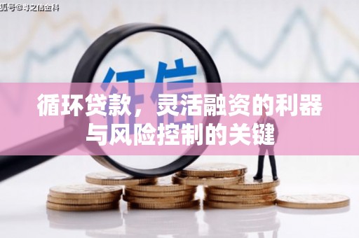 郁南循环贷款，灵活融资的利器与风险控制的关键