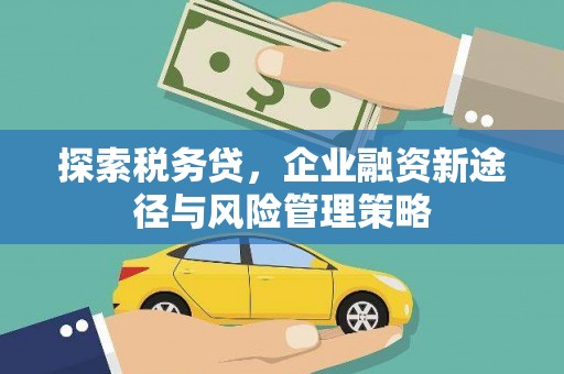 郁南探索税务贷，企业融资新途径与风险管理策略