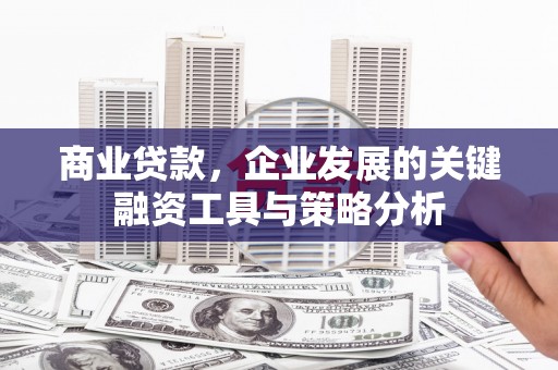 郁南商业贷款，企业发展的关键融资工具与策略分析
