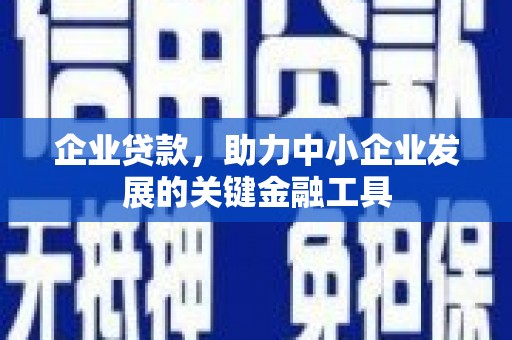 郁南企业贷款，助力中小企业发展的关键金融工具