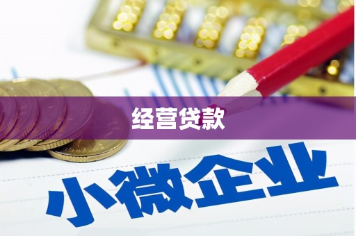郁南经营贷款