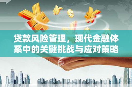 郁南贷款风险管理，现代金融体系中的关键挑战与应对策略