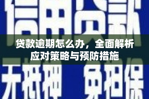 郁南贷款逾期怎么办，全面解析应对策略与预防措施