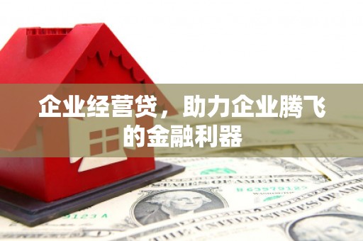 郁南企业经营贷，助力企业腾飞的金融利器