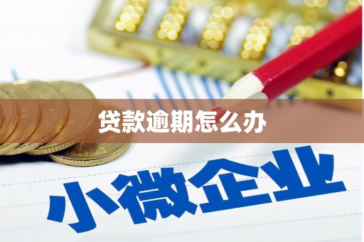 郁南贷款逾期怎么办