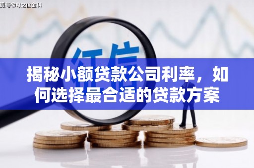 郁南揭秘小额贷款公司利率，如何选择最合适的贷款方案