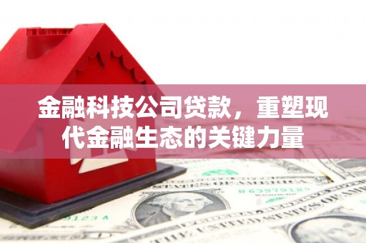 郁南金融科技公司贷款，重塑现代金融生态的关键力量