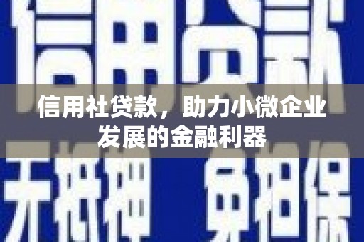 郁南信用社贷款，助力小微企业发展的金融利器