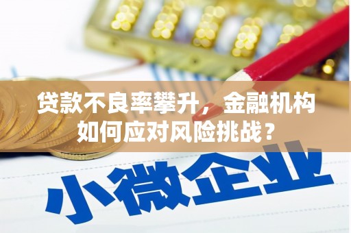 郁南贷款不良率攀升，金融机构如何应对风险挑战？