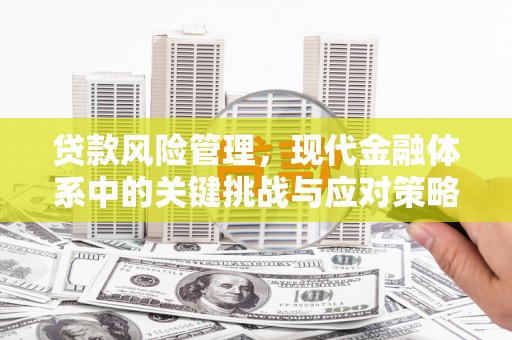 郁南贷款风险管理，现代金融体系中的关键挑战与应对策略