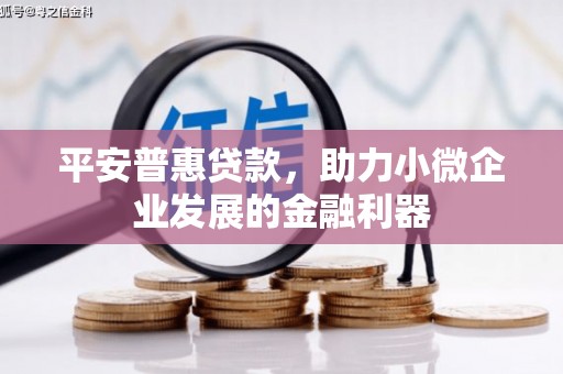 郁南平安普惠贷款，助力小微企业发展的金融利器