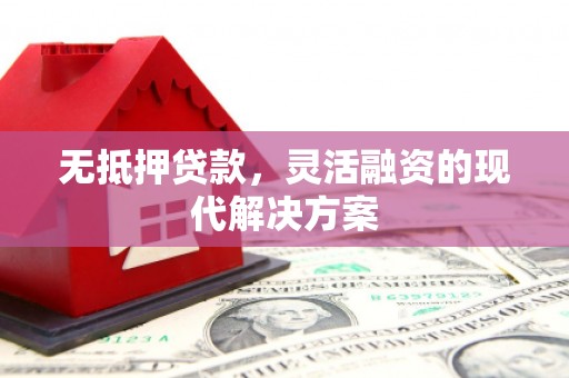 郁南无抵押贷款，灵活融资的现代解决方案