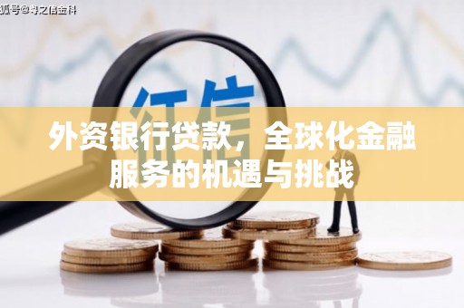 郁南外资银行贷款，全球化金融服务的机遇与挑战