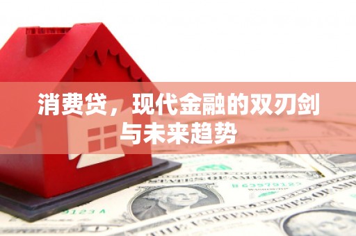 郁南消费贷，现代金融的双刃剑与未来趋势