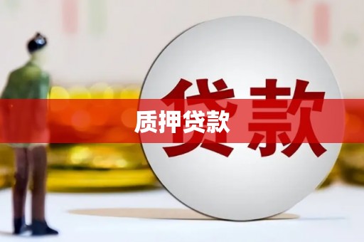 郁南质押贷款
