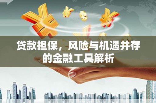 郁南贷款担保，风险与机遇并存的金融工具解析